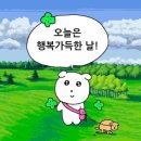 사천개1길 이미지