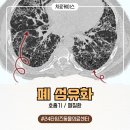 타임즈 동물의료센터 | 강아지 폐섬유화 호흡기 전문병원 타임즈동물의료센터