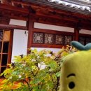 문화유산한옥 이미지