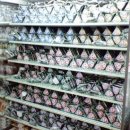 김밥마네 이미지