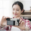 제니헤어 이미지