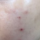 신림역약국 이미지