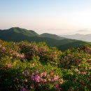 소백정원 이미지