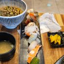 스시애 | 스시애 정관점 후기｜정관 초밥 맛집, 현지인 동네에서 즐기기