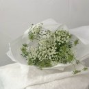 산호동172 | HWA HONG ㅣ 화홍, 마산꽃집, 창원꽃집, 경남대꽃집, 월영동꽃집, 댓거리꽃집 ㅣ 꽃다발 모음