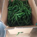 7월18일 금요일 출석부 이미지