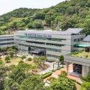 세쌍둥이네 이미지