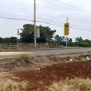 동일리-10 이미지