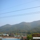 청풍호 감 이미지