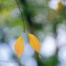 동화구연지도사 이미지