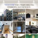 안산 고양이 장례식장 전문화된 선진적 진행 방식
