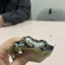 수한목장 이미지