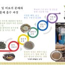 블루베리 전지 및 양분관리 실패 사례와 개선방법 이미지