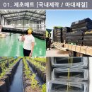 여주-0332 Daum카페