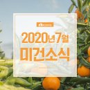 [미건소식] 2020년 7월 미건하우징 소식지 이미지