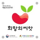 나눔공인중개사사무소 이미지