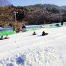 비전태권도 이미지