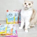 예린 더 스킨 | 더캣 비비캣 바이오 비즈 캣 리퀴드 | 기호성 난리난 영양 비즈캡슐까지 담은 추르