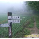 대포리목장 이미지