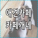 개네엄마 이미지