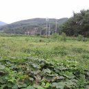 지수면-2 이미지