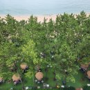 바다정원 이미지