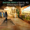 이월드83타워유로지움 Daum카페