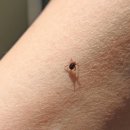 제천시 의림지동 행정복지센터 이미지