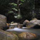 김여사공인중개사사무소 이미지