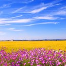 들판농장 이미지