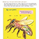 자연나라 이미지