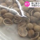 정체불명
