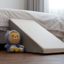 단양댕댕이 애견가족펜션 블랙 이미지