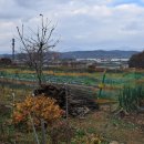 전원부동산중개인사무소 이미지