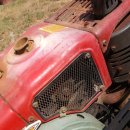 국제라지에타 이미지