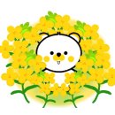 방콕66원주