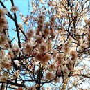 밀양향교 이미지