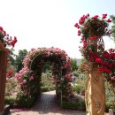 왕관식당 이미지