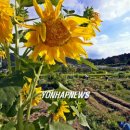 이재혁 농장 이미지