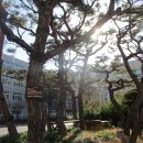 동성공원 이미지