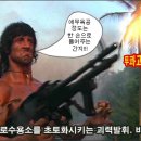 람보 이미지