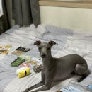 폴리파크 상계점 이미지