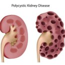 굿닥터동물병원 이미지