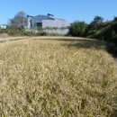 전대2리 이미지