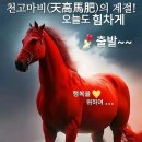 수림결혼정보 이미지