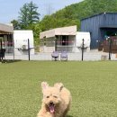 글램핑장 매점 이미지