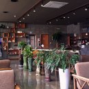 셀프레소