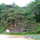 빗접바위 이미지