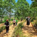 숲뒤농장 이미지