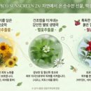 스크린씨씨 이미지